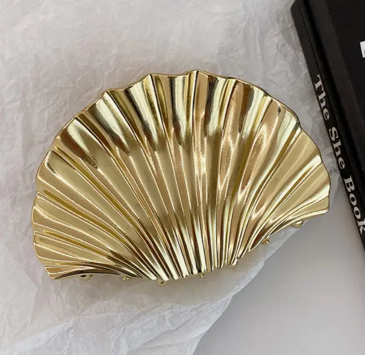 Large Shell Claw