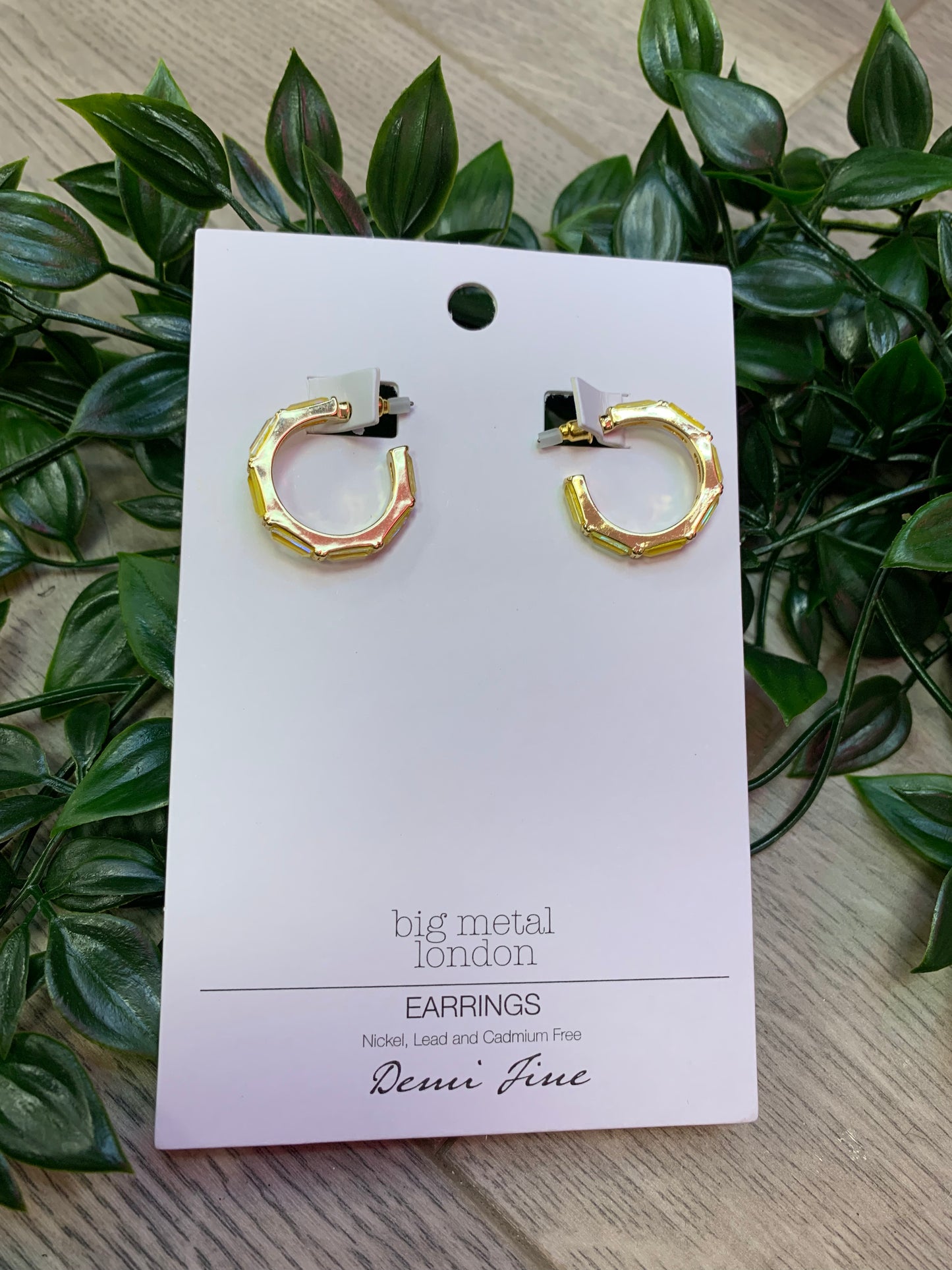 Sarah Demi Hoops