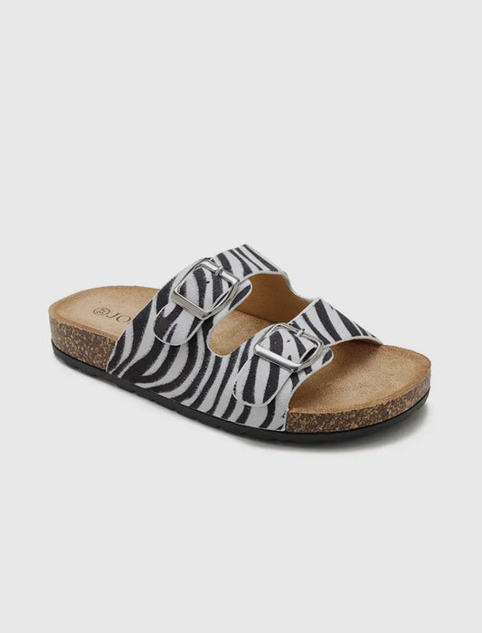 Eva Zebra Slides