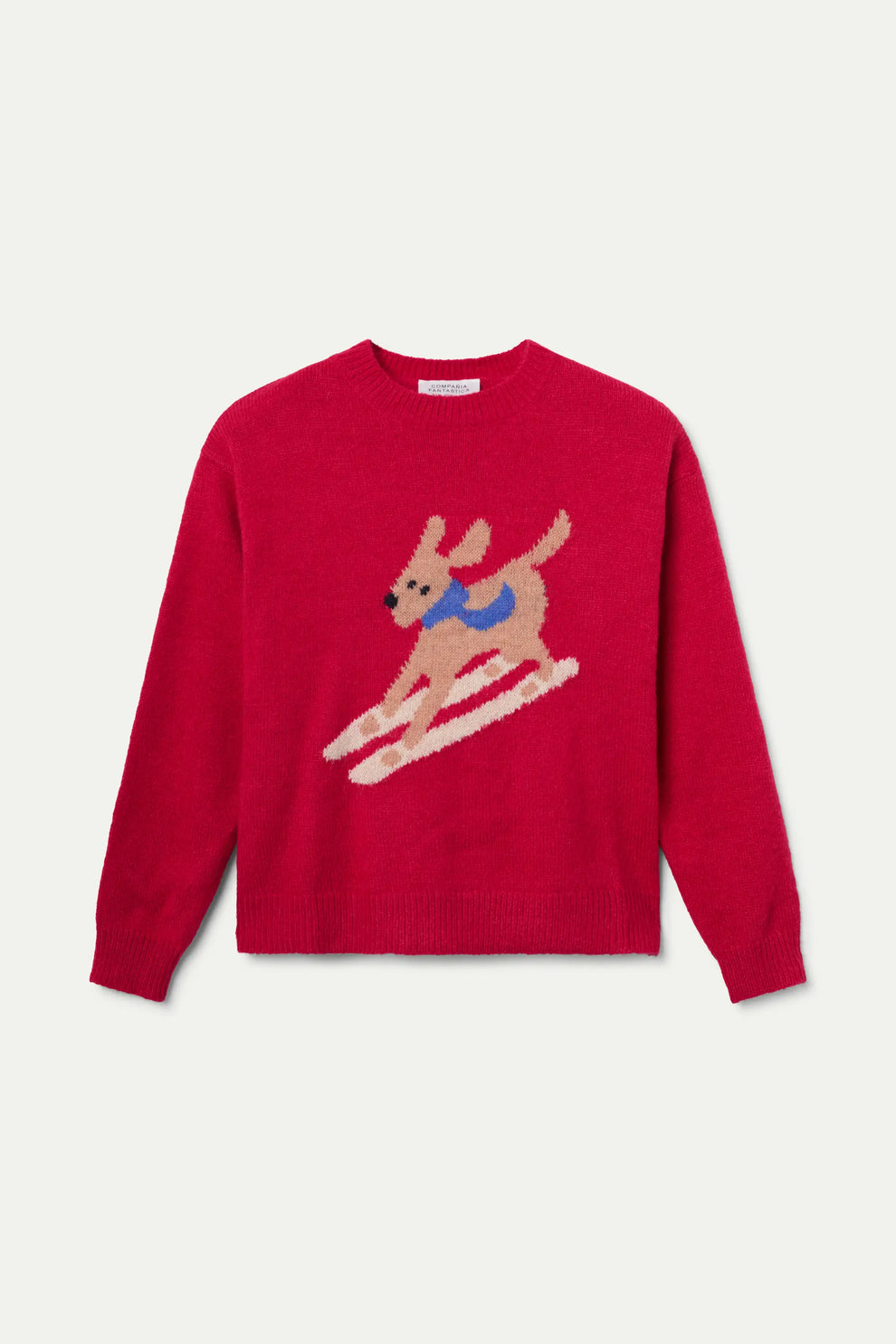 Skiing Dog Jumper